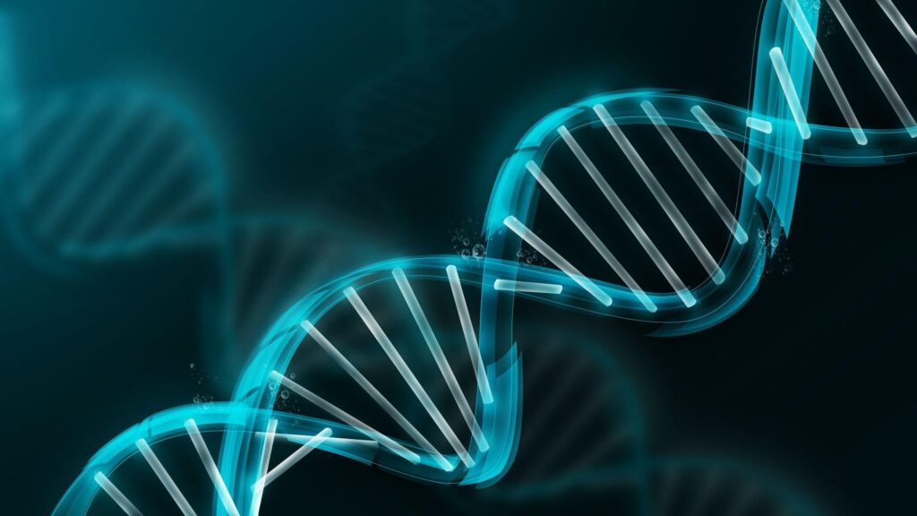 scientific representation of dna structure highlighting genetic changes and the y chromosome